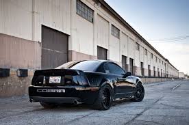 We did not find results for: The Ls7hntr A 1 000hp Twin Turbo Terminator Cobra Ford Mustang Cobra Mustang Cobra 2003 Ford Mustang