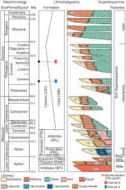 Image result for Oncocalyx bolusii