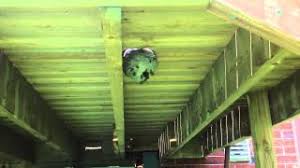 If you don't figure another tip to use if you plan on attacking the wasp nest head on is to do so at night. Wasp Nest Under My Deck Youtube