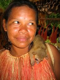 Maybe you would like to learn more about one of these? Amazon Shamans In Peru Wandering Carol