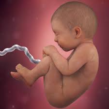 38 Weeks Pregnant Symptoms Baby Size Bump More Babycenter