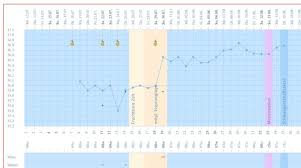 Nun habe ich diesen monat angefangen die temperatur zu messen. Schnell Schwanger Werden Unsere Erfahrung Mit Nfp Blog