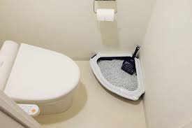 猫トイレの場所は人のトイレ内がおすすめ コーナータイプの猫トイレなら狭いトイレにも置ける のメインイメージ 猫 トイレ 狭い トイレ トイレ