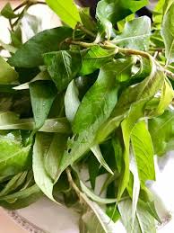 Salah satu khasiat dari daun suji lainnya adalah mampu mengobati penyakit infeksi menular seksual (ims) seperti sipilis. Petua Alami Warisan Tradisi Khasiat Daun Kesom Wattpad