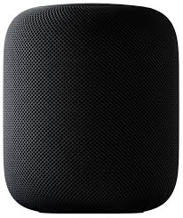 Apple Homepod Space Gray Mqhw2ll A Best Buy