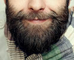 barba-img2