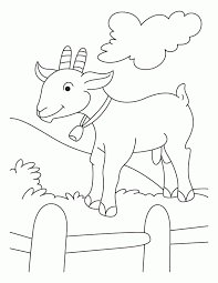 Check spelling or type a new query. Goat Coloring Pictures Coloring Home