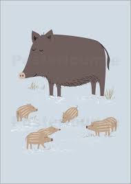 sandy lohss wildschweine illustration tiere schwein illustration tiere des waldes