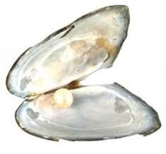 Aceasta colectie vasta de jocuri cu super eroi iti va testa abilitatea de a salva lumea! Jocuri Cu Supereroi Delatorrelaw Com