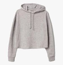 See more ideas about sweatshirt outfit, grey sweatshirt, hoodies. Hoodie Sweatshirt Clothes Clothing Niche Nichememes Sweatshirt Niche Meme Png Transparent Png Kindpng