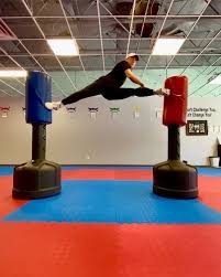 5 887 Likes 130 Comments Gus Duran Tkd540 On Instagram This Is A Very Effective Kick If Two Tall People Are Waitin In 2020 With Images Art Demonstrations Duran Tall People