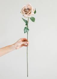 Deviantart is where art and community thrive. Fake Fall Flowers Artificial Rose Stem In Taupe Beige Afloral Com