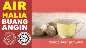 Masak sekitar 5 sampai 10 menit. Air Halia Paling Mudah Untuk Buang Angin Dan Detoks Badan 2020 Youtube