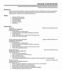 Professional Carpenter Resume Examples Construction Livecareer