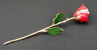 Perhaps best answered with a quote? Gold Dipped Roses For Sale Gold Tipped Flowers Lowest Prices Kremp Com