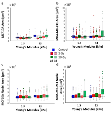 Cancers Free Full Text Adhesion And Migration Response To Radiation Therapy Of Mammary Epithelial And Adenocarcinoma Cells Interacting With Different Stiffness Substrates Html