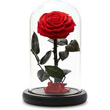 Closeup on handmade enchanted rose in glass dome bell. Buy Eternal Rose Glass Dome Led Stand Light Up Enchanted Anniversary Preserved Flower Black Gift Box Battery Operated Forever Lasting Decoration Love Romance Present Online In Italy B07z8hhcp3