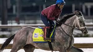 Puerto rico native won eclipse award in 2018, 2019 and 2020. 2021 Kentucky Derby Post Time Odds How To Watch Live Stream