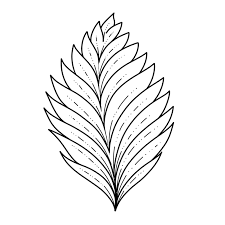 Pictures of leaves to draw. Drawing Leaves Easily Using Simple Shapes Jspcreate