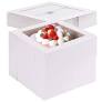 Plastic cake box packaging from www.michaels.com