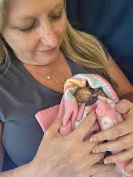 These are our 4 rescues; top left is Tiberius Kirk, top right is Toulousia  Marie, bottom left is Tawni Road, then Tiberius with Tempest Storm.  Toulousia at 14 is our oldest; born