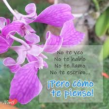 Pin En Frases De Amor