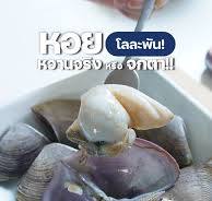 หอยท้ายเภา: ของหายากสุดอร่อยที่คุณต้องลอง