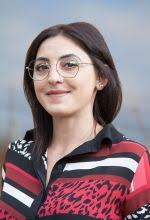 Le Conseil Municipal