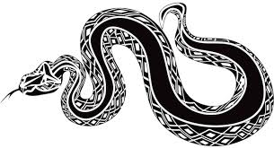 Related image