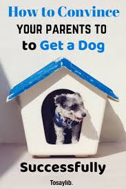 Another option for dividing funds between you and your parents. How To Convince Your Parents To Get A Pet Arxiusarquitectura