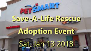 Adopt or foster an animal in need. Home Page