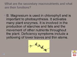 Macronutrient, micronutrients, and water 1 macronutrient structure and function food is composed of some combination of three macronutrients: Animal Plant Soil Science D 3 1 Soil
