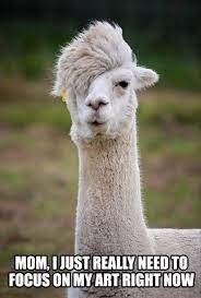 Priceless Funny Memes Without Words Funny Animals With Captions Funny Pictures With Captions Funny Animal Memes