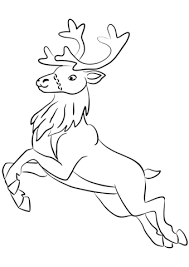 You've come to the right place! Reindeer Coloring Pages Picture Whitesbelfast