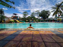 Imbas Pandemi Waterboom Di Bogor Berubah Fungsi Jadi Ternak Lele