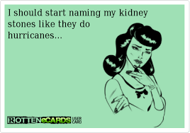 Kidney stones (also called renal calculi, nephrolithiasis or urolithiasis) are hard deposits made of minerals and salts that form inside your kidneys. I Should Start Naming My Kidney Stones Like They Do Hurricanes Kidney Stones Funny Kidney Stone Meme Kidney Stones