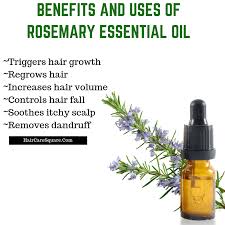 Rosemary oil is a popular infused oil used in cooking and beauty treatments. How To Use Rosemary Essential Oil For Hair Growth Hair Loss Why It Works Rosemary Oil For Hair Essential Oils For Hair Vitamins For Hair Growth