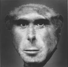 Museum Of Contemporary Photography