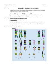 High throughput cytokine screening for human samples. Module 5lesson 1assignment Rebeccahardcastle Biology 30 Module 5 Lesson 1 22 Marks 1 Assignment Module 5 Lesson 1 Assignment This Module 5 Lesson 1 Course Hero