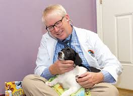 To uphold your certification, you must: Fear Free Principles State Of The Art And State Of The Heart Modern Dog Magazine