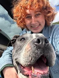 Help find this big dog's home in the Heights