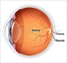 Retina Yoga For Diabetes Holistic Care Holistic Treatment