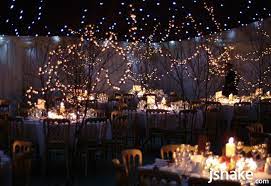 Black Star Cloth Lining Lighting Fairy Lights Trees Regency Gold Chairs Mood Lighting Party Marquee Celestial Wedding Marquee Decoration Marquee Wedding