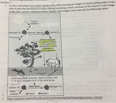 17 apr 2019 by akash peshin. Solved In Class I Described How Carbon Dating Works While Chegg Com