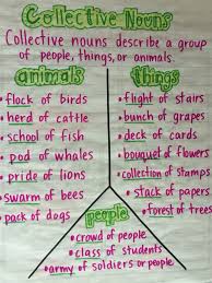 Synonyms Anchor Chart Collective Nouns Chart Types Of Nouns