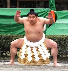 第６６代若乃花（３代） 横綱在位：１９９８年７月…：横綱ヒストリー 写真特集：時事ドットコム