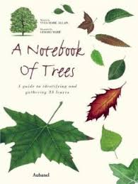 Kostenlose übungen und arbeitsblätter für mathe in der 5. Buy A Cheap Copy Of A Notebook Of Trees A Guide To By Yves Marie Allain Mountain Ash Scarlet Oak Box Elder Each Type Of Tree I Plant Leaves Tree Leaves