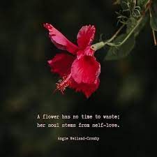 Self Love Quote Angie Weiland Crosby On Instagram Self Love Quotes Red Flower Quotes Flower Quotes