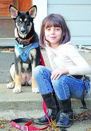 It includes a little bit of mental challenge and a little physical exercise as well. Adolescent Dogs 6 Facts To Know Whole Dog Journal
