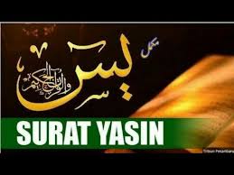 Selasa, 11 februari 2020 20:01. Surat Yasin Tajweed Ke Sat Urdu Hindi Shahji Online Quran Teacher Youtube